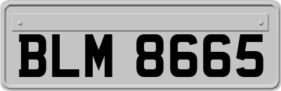 BLM8665
