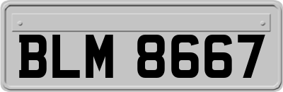 BLM8667