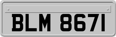 BLM8671
