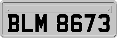 BLM8673