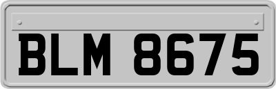 BLM8675
