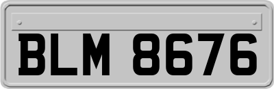BLM8676
