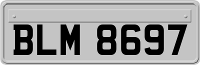 BLM8697