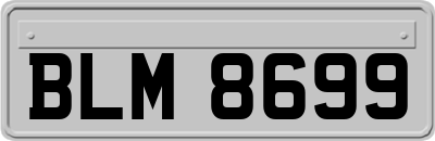 BLM8699