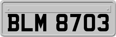 BLM8703