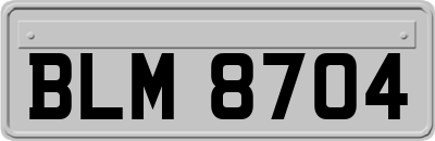 BLM8704