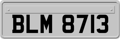 BLM8713