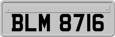 BLM8716