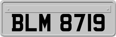 BLM8719