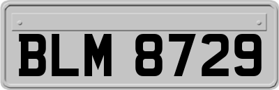 BLM8729