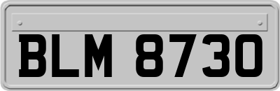 BLM8730