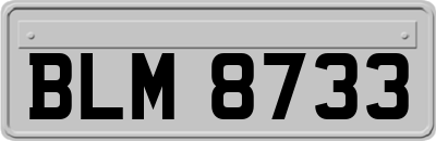 BLM8733