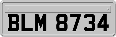 BLM8734