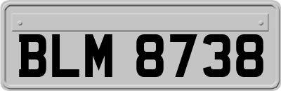 BLM8738