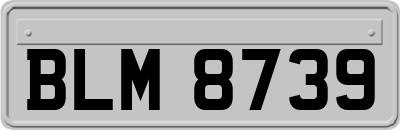BLM8739