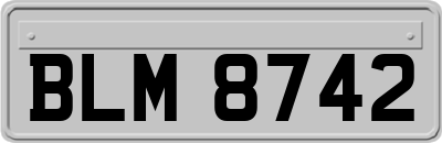 BLM8742