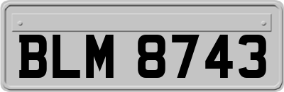 BLM8743
