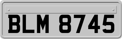 BLM8745