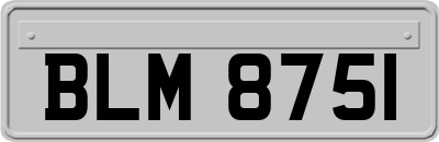 BLM8751