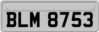 BLM8753