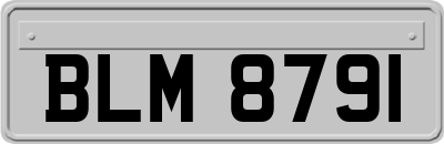 BLM8791