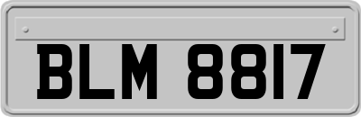 BLM8817