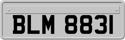 BLM8831