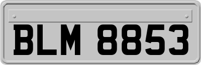 BLM8853