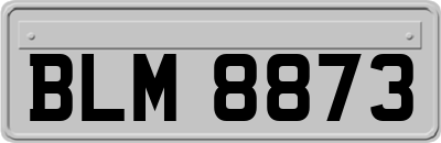 BLM8873