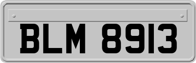 BLM8913