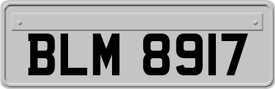 BLM8917