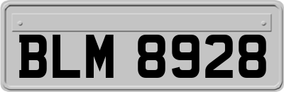 BLM8928