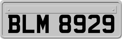 BLM8929