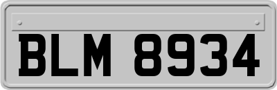 BLM8934
