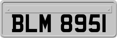 BLM8951