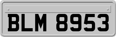 BLM8953