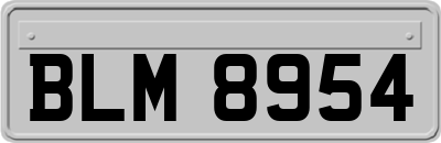 BLM8954