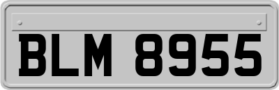 BLM8955
