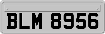 BLM8956