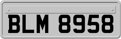 BLM8958