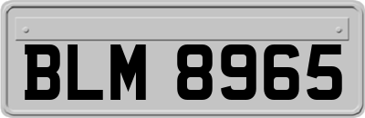 BLM8965