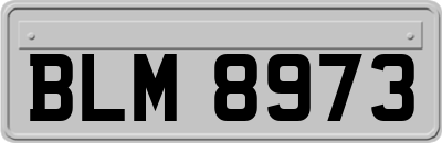 BLM8973