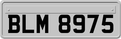 BLM8975
