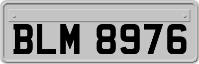 BLM8976