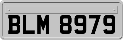 BLM8979
