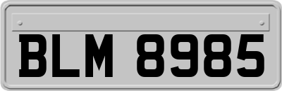 BLM8985