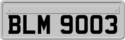 BLM9003