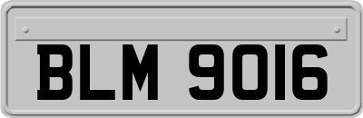 BLM9016