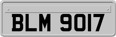 BLM9017