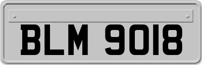BLM9018